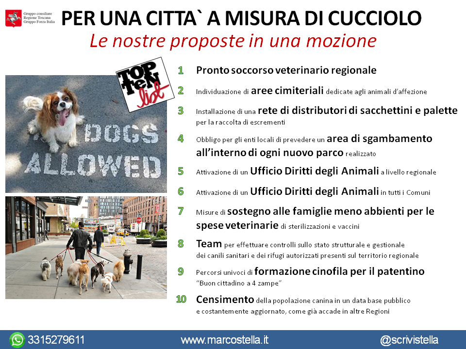 mozione-citta-a-misura-di-cane