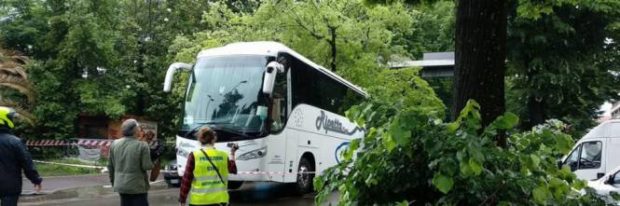 06.13 albero su bus