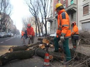 660968-kUlG-U43050817139046aYG-1224x916@Corriere-Web-Milano-593x443